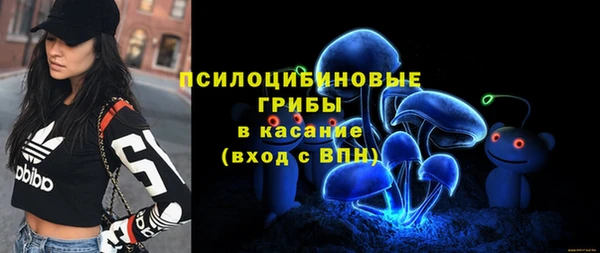 прущая мука Лабытнанги