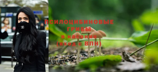 прущая мука Лабытнанги