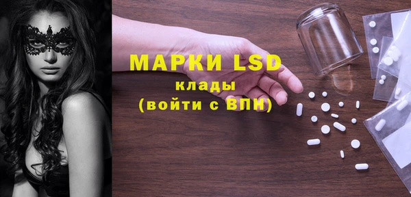 мдпв Краснослободск