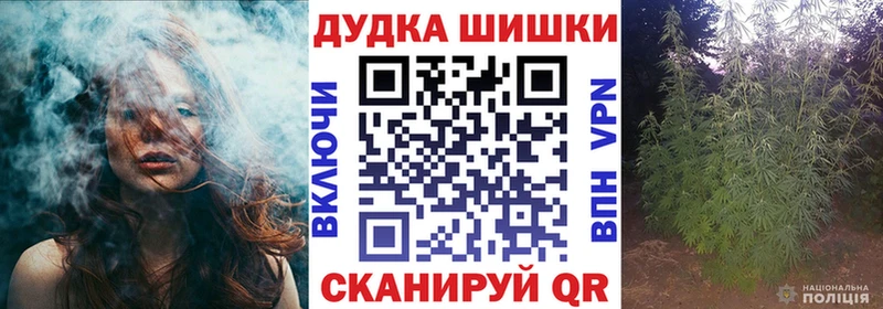 Бошки Шишки THC 21%  Суздаль 
